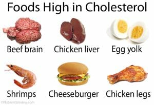 Foods high in cholesterol best supplements to lower cholesterol 