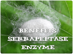 Benefits Serrapeptase Enzyme