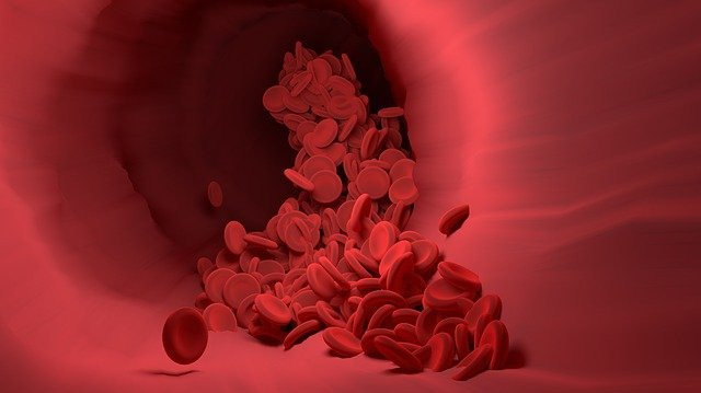 Blood flow image blood flow supplements