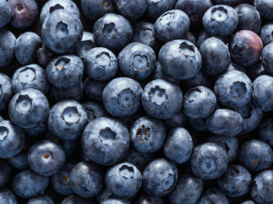 Berries supplements for memory and brain 