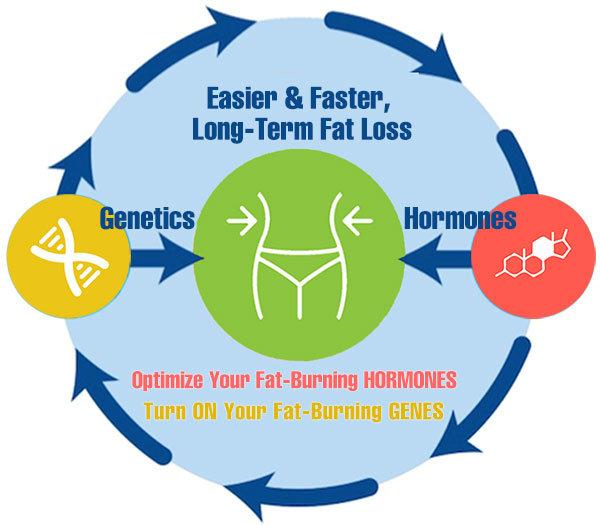 Fat burning hormones natural weight loss pills