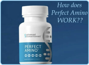 Perfect amino how it works image