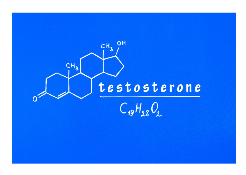Medical terminology testosterone image