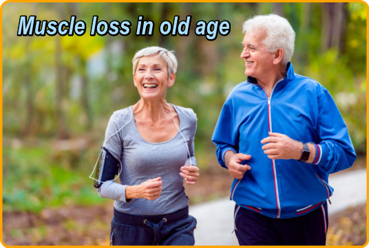 Muscle loss in old age image