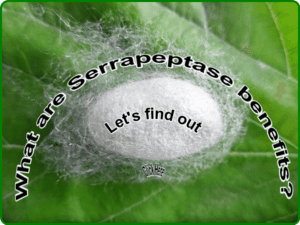 benefits Serrapeptase enzyme image