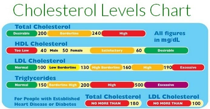 cholesterol chart