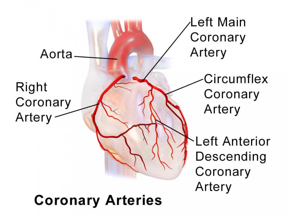 LAD left anterior descending artery