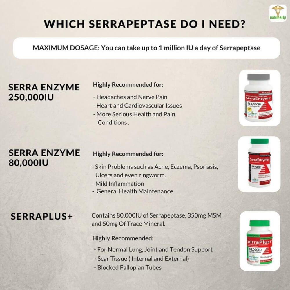 Which Serrapeptase