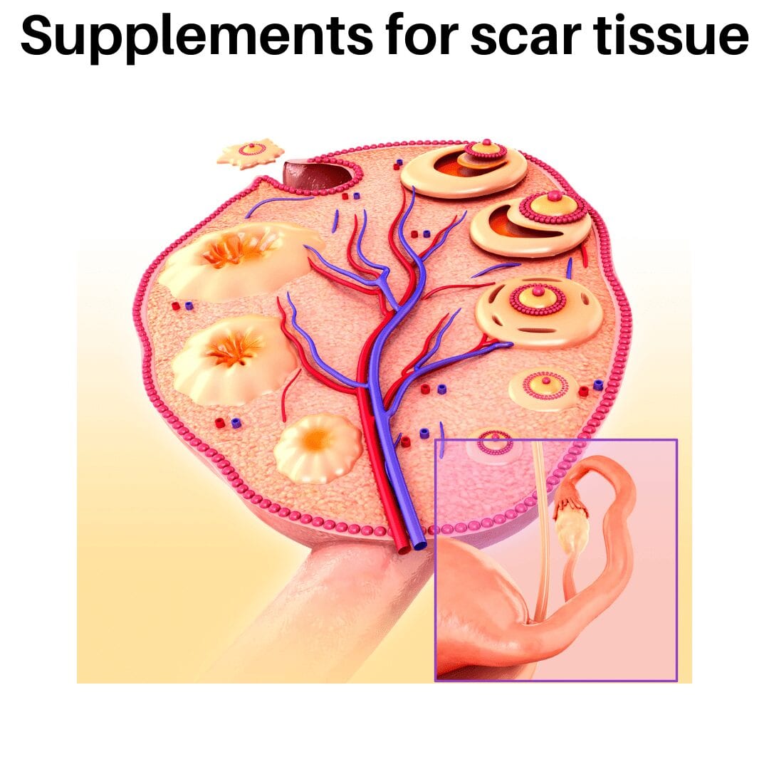 Supplements for internal scar tissue