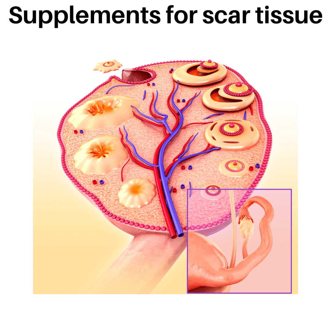 Supplements for internal scar tissue * Synergy Heart & Health