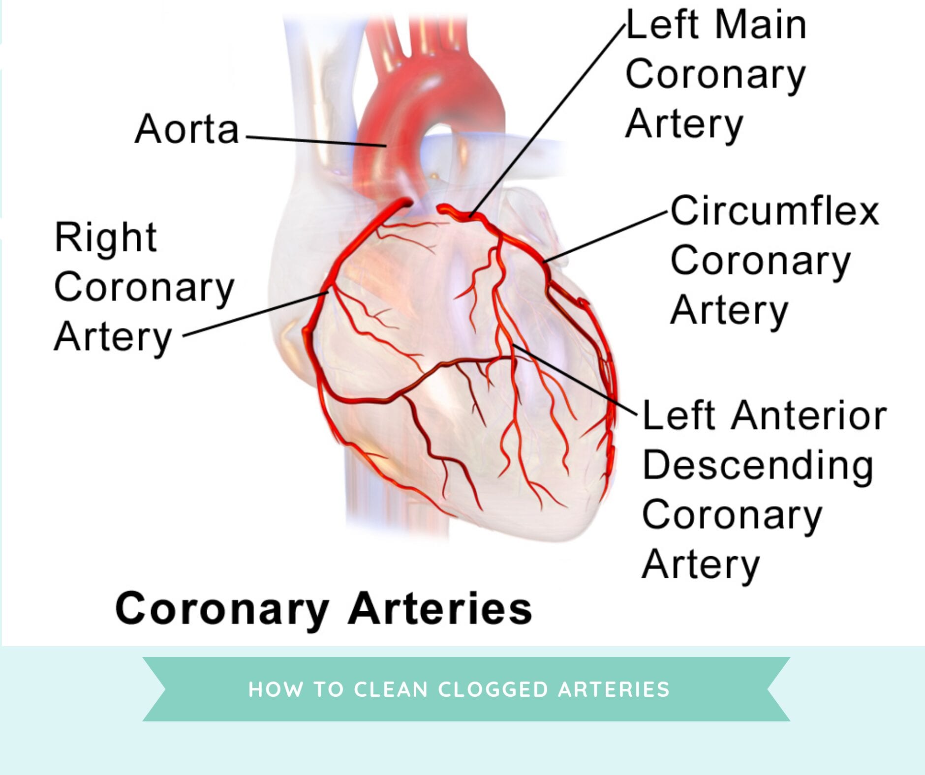 How to clean clogged arteries