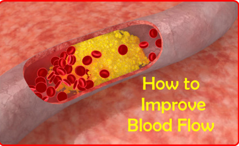 Blood Flow Optimizer To Help Support Good Blood Flow